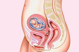 علائم نیازمند مراجعه به پزشک در هفته سیزدهم بارداری